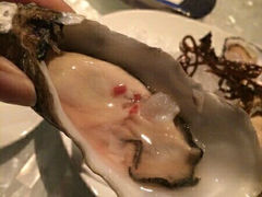 android_upload_pic-广州四季酒店·佰鲜汇·现代法餐
