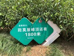 -雨花胜境