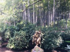 -杭州黄龙洞