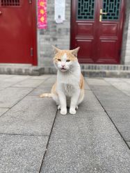 -北京大学第一医院妇产儿童医院