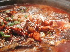 -探鱼·鲜青椒爽麻烤鱼(番禺万达店)