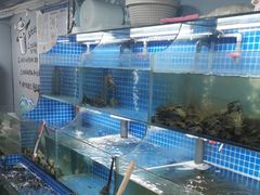 -星记小馆·小蓝龙·老南京砂锅菜(上海路店)