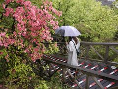 -江南天池
