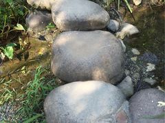 -新江湾城公园