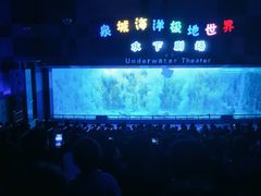-泉城欧乐堡海洋极地世界