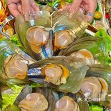私藏发出来了!东莞📍198💰吃六大锅海鲜🦞