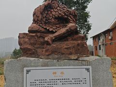 -广西壮族自治区药用植物园
