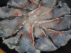 -捞围鲜·港式打边炉(海阳路店)