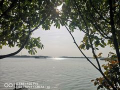 -太阳岛度假酒店