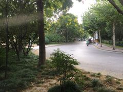 -新湖明珠城