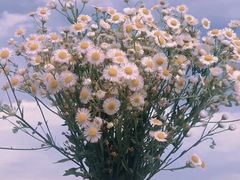 -梅飞酒家(名辉豪庭店)