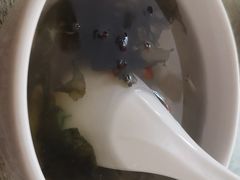 -饨顿香馄饨