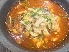 -印象鲵宴·张家界地标美食名片(溪布街店)