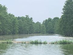 -池杉湖湿地公园