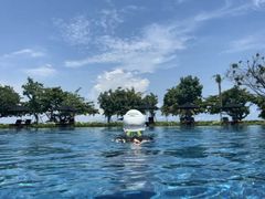 -重庆市奥林匹克体育中心-游泳跳水馆