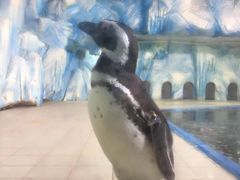 -常州海昌海洋探索馆