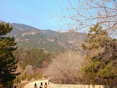 -北京西山国家森林公园