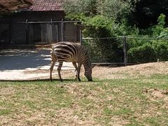 -石家庄市动物园