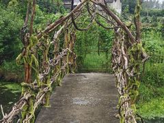 -嘉北郊野公园