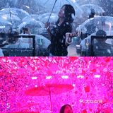 撸串小酌感受冬日飘雪与春日漫天樱花