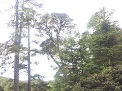-碧塔海