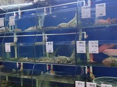 -阿静美食