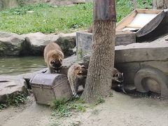 -上海野生动物园