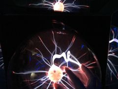 -陕西自然博物馆