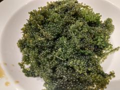 -驻海渔市(置信店)