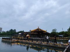 -洋湖国家湿地公园