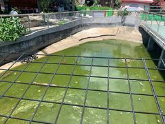 -观澜山水田园