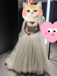 -Vera Wang婚纱礼服旗舰店