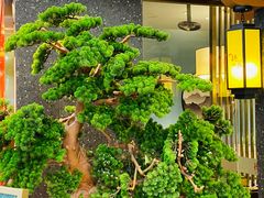 -德庄火锅(常德万达店)