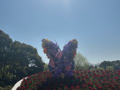 -上海鲜花港