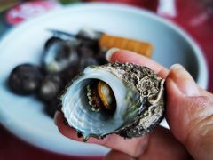 -坛南湾阿强农家乐.海鲜大排档老字号(福州地标美食店)