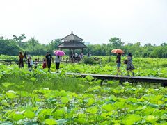 -梁鸿国家湿地公园