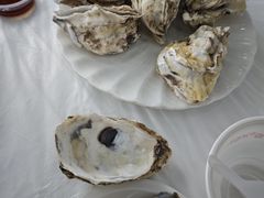 -日照大牌檔•小船海鲜(万平口店)