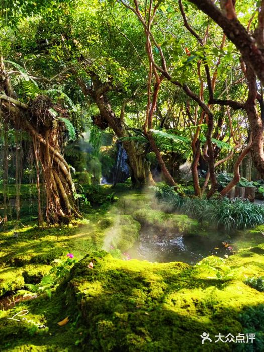 Chom Cafe and Restaurant图片