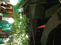 -佬麻雀·新湘菜(珠海金发购物中心店)
