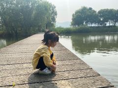 -长兴太湖图影湿地文化园