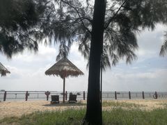 -北海金海湾红树林生态旅游区