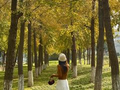 -东钱湖旅游度假区