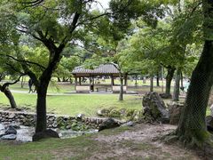 -奈良公园