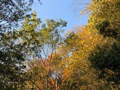 -敬亭山风景名胜区