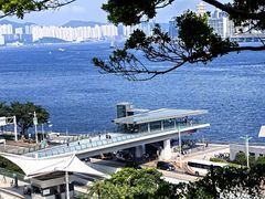 -讯号山花园