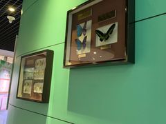 -上海昆虫博物馆