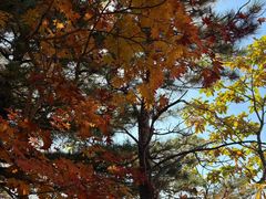 -丹东天桥沟景区