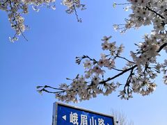 -江南大学(蠡湖校区)
