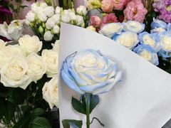 -FEI FEI FLOWER鲜花店·气球派对·宝宝宴布置(虹口德必运动Loft店)