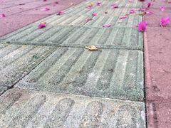 -黄金海岸环岛路